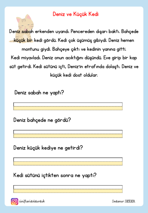 Okuma Anlama Çalışması Deniz ve Küçük Kedi