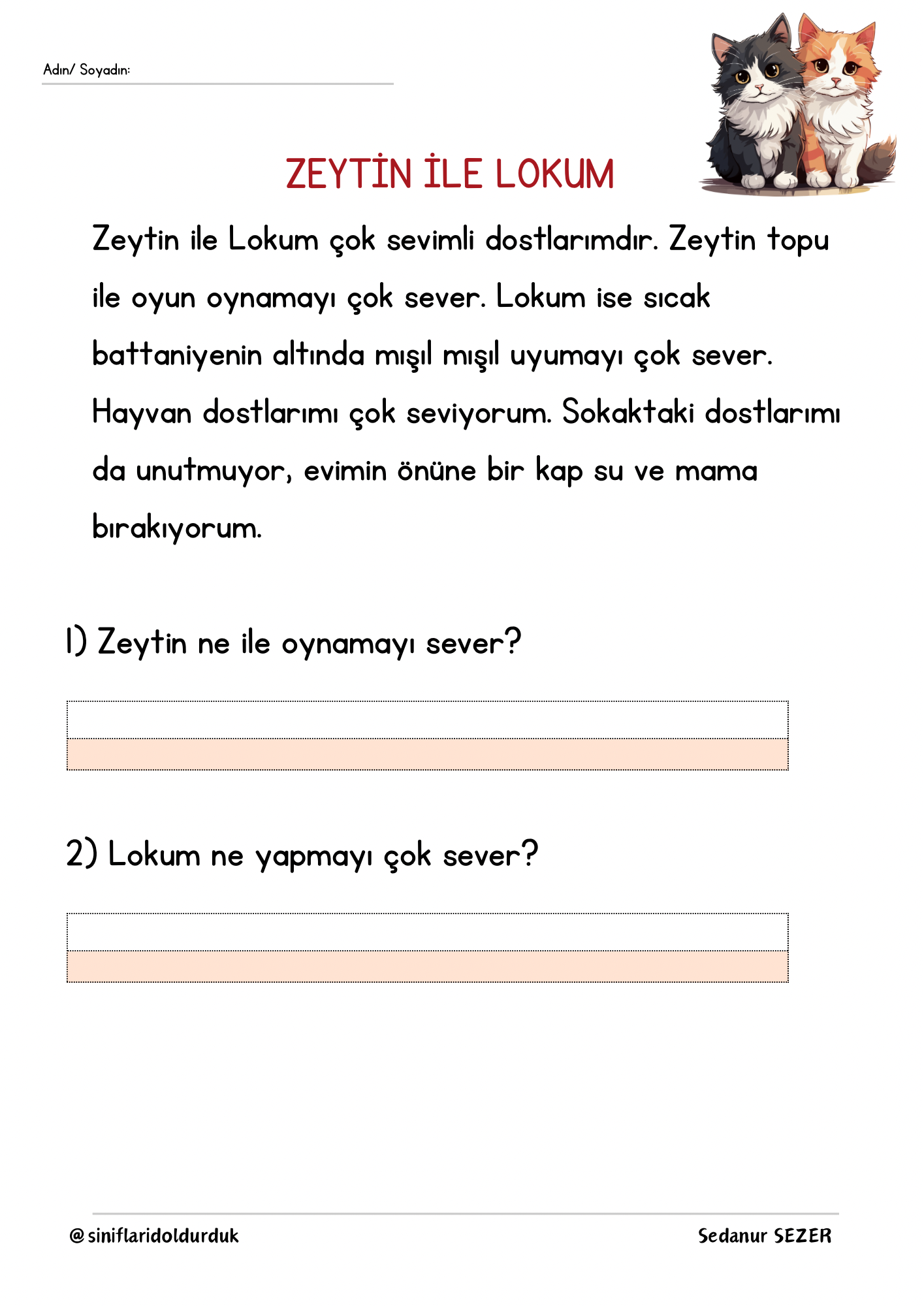 Okuma Anlama Metni
